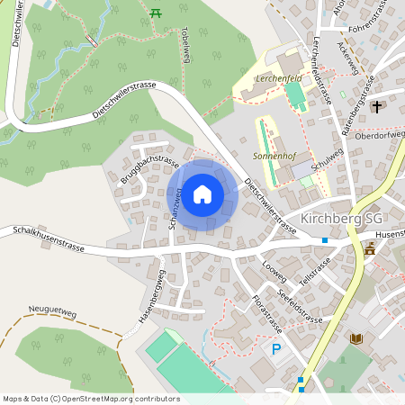 Schweiz, Schanzweg 4a, Kirchberg SG, 9533, Kirchberg Sg