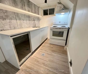 163 Gunn Street #Basement - Photo 5