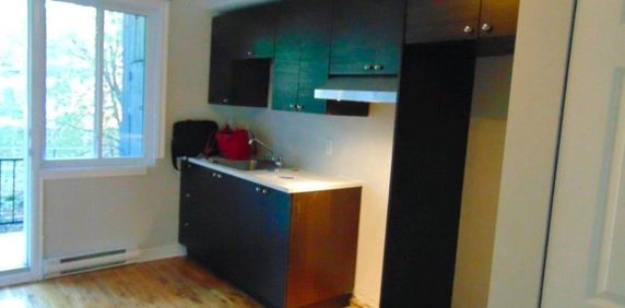 4 1/2 à louer à l'étage | Mercier Hochelaga Maisonneuve - Photo 2