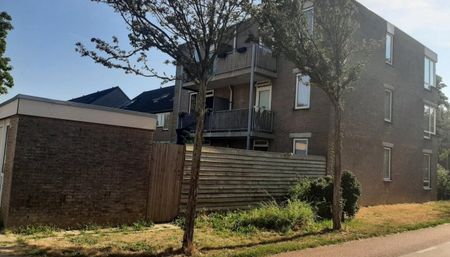 Limburgsingel 101, 6845DX ARNHEM - Photo 3