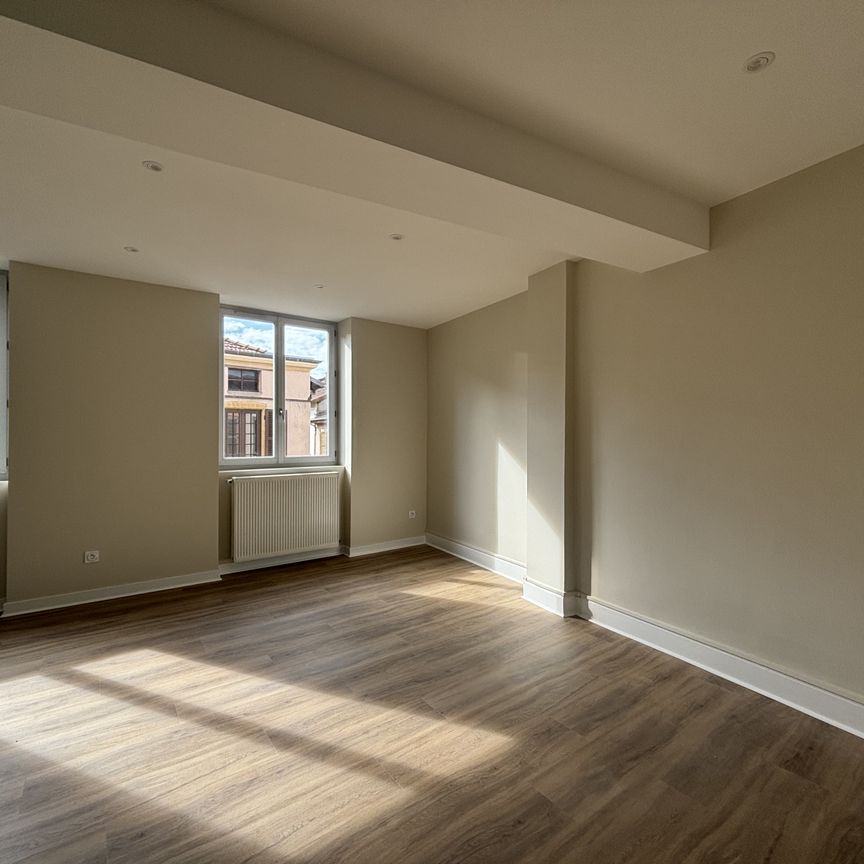 Location Appartement 1 pièce 46m² CHARLIEU 42190 - Photo 1