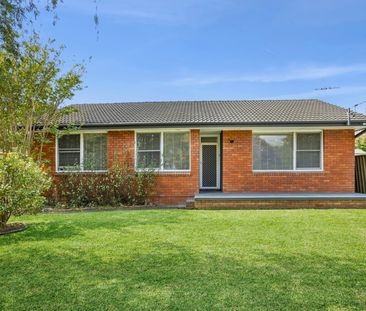 2 Annette Place, Belrose NSW 2085 - House For Rent | Domain - Photo 2