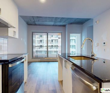 1251 rue Ottawa, Griffintown à louer - Photo 6