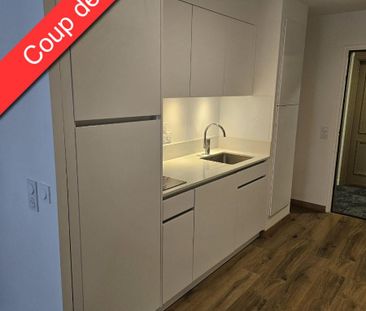 Location Appartement 2 pièces 45m² CHAMPS SUR MARNE 77420 - Photo 3