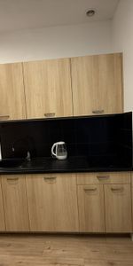 Kraków ul. Botaniczna do wynajęcia - Photo 3