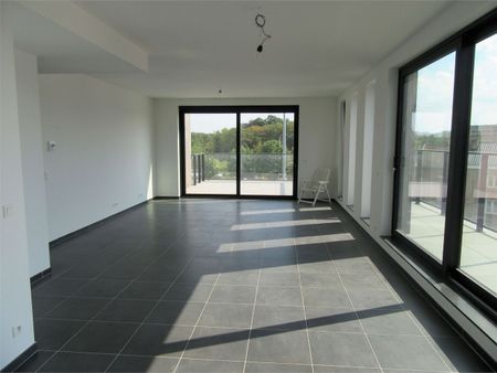 Luxe penthouse met 3 slaapkamers, groot terras(en) en ondergrondse parking. - Photo 3