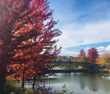 For Lease - 77 Weatherill Road, Markham, Ontario - Photo 5