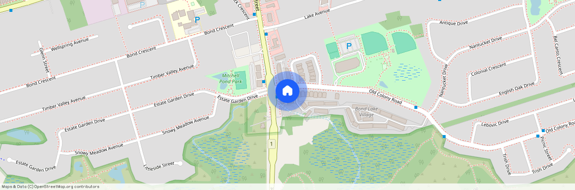 15 Old Colony Road, Richmond Hill