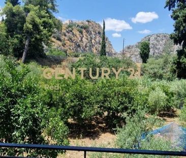 Διαμέρισμα για ενοικίαση Νέα Επίδαυρος (Επίδαυρος) - Photo 3