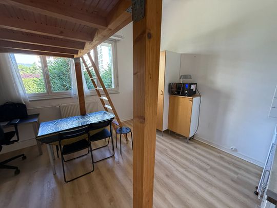 Location Appartement 1 pièce 24m² STRASBOURG 67000 - Photo 1