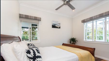 High in the Hills of Old Petrie - Photo 4