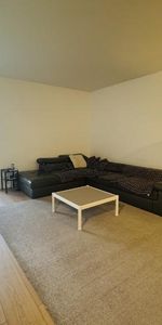 Appartement 4 ½ à louer Sainte-Foy / Sillery août 2026 - Photo 4