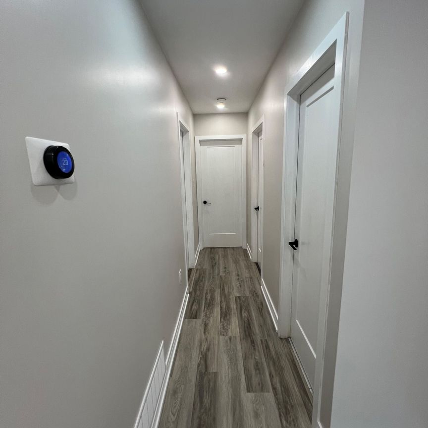 For Lease - 87 Walter Avenue Unit# MAIN, Newmarket, Ontario - Photo 1