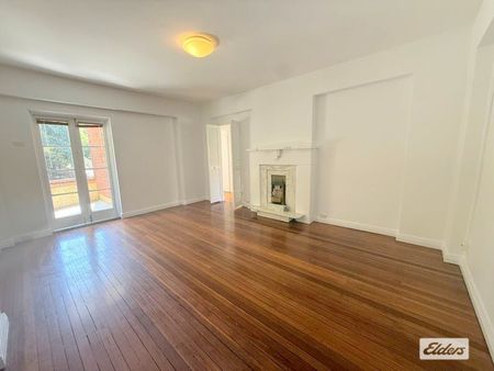 11/6 Ithaca Road - Photo 3