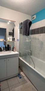 Location Appartement 2 pièces 45m² LUNEVILLE 54300 - Photo 3