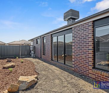 Modern Home in Huntly - Photo 1