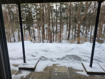 For Lease - 11 Warlock Crescent Unit# Basement, Toronto, Ontario - Photo 2