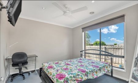 Rooming House - Room 5 for Rent- Close to the University! - Photo 5