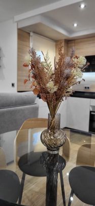 Apartamento de alquiler en Plaza de la Malagueta, 2, La Malagueta - Monte Sancha - Photo 1