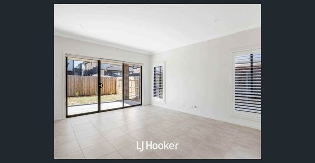 Beautiful 4 Bedroom Home! - Photo 1