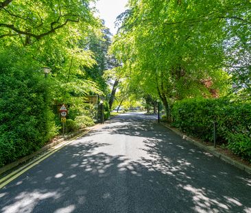 The Elms, Mount Merrion Avenue, Blackrock, Co. Dublin, A94 Y090 - Photo 5