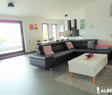 Hoek 34/0102, 2310, Rijkevorsel, BE - Photo 3