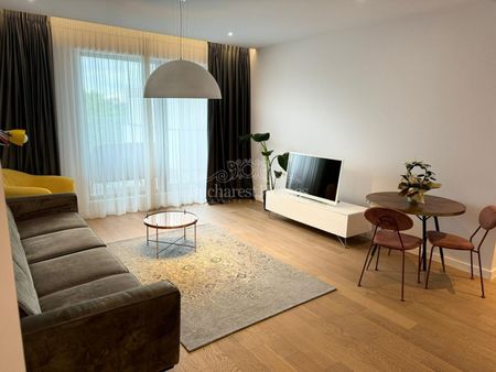 Beautiful One-Bedroom Apartment with Terrace for Rent - Herastrau - Photo 2