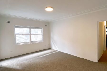 CLOSE TO KOGARAH TRAIN STATION & SHOPS - Photo 3