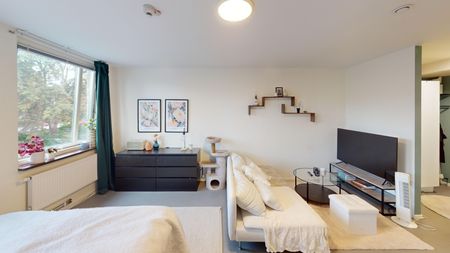 Drottninggatan, Trollhättan - Foto 2