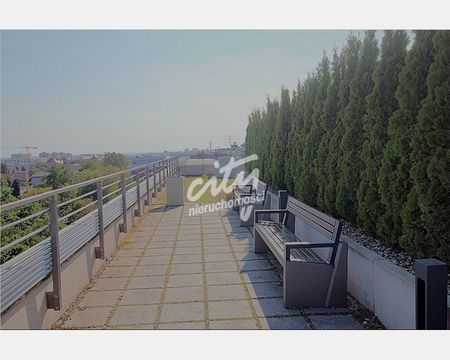 Szczecin - Фото 3