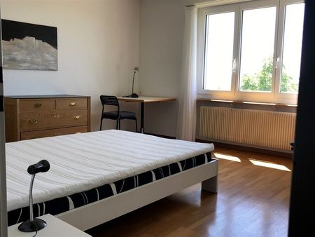 APPARTEMENT DE 2 PIÈCES À INNERBERG (BE), MEUBLÉ, TEMPORAIRE - Foto 3