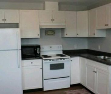 1bed/1bath Pet Friendly Suite- Sooke Core - Photo 3