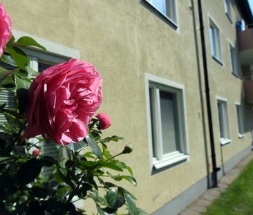 Pionjärgatan 8 - Photo 3