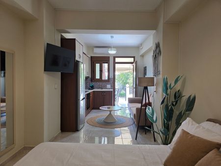 Studio/Γκαρσονιέρα για ενοικίαση Πάνορμος (Γεροπόταμος) - Φωτογραφία 4