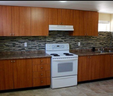 For Lease - 17 Gable Drive Unit# Basement, Brampton, Ontario - Photo 4