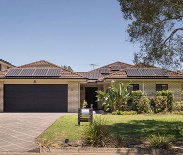 7 Singleton Place, Carseldine QLD 4034 - House For Rent | Domain - Photo 3