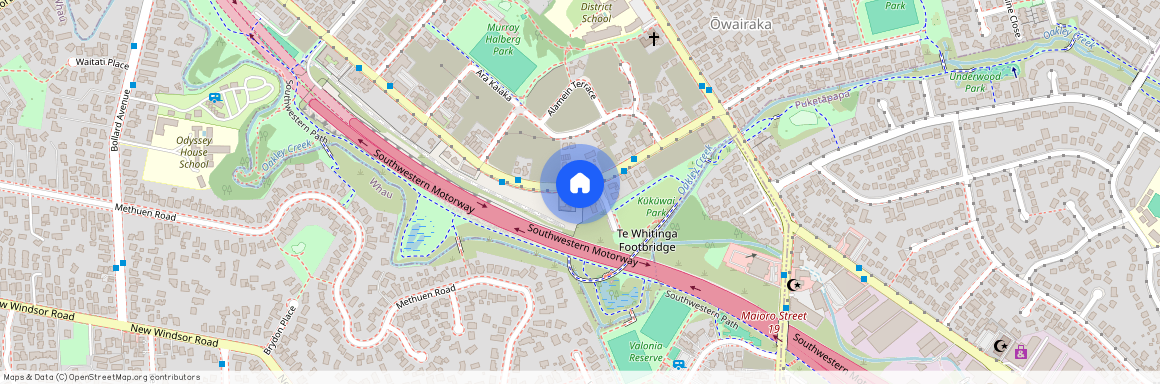 131 Hendon Ave, Mount Albert, Auckland City