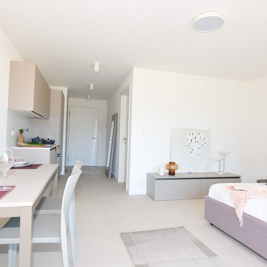 RESIDENZA HEDERA – PRIMA LOCAZIONE DI APPARTAMENTI MODERNI A TENERO-CONTRA - Foto 1