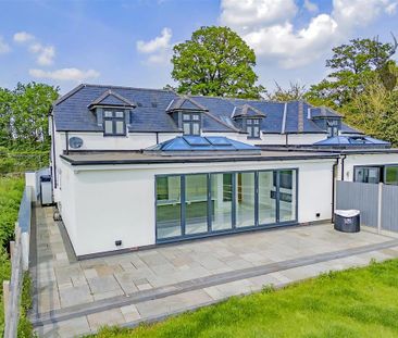 4 bedroom semi-detached house to rent - Photo 2