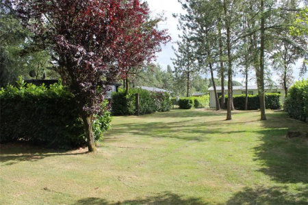 Chalet Bungalow Zandstraat, Moergestel - À Louer - Foto 2