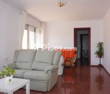 Piso en alquiler en Centro - Foto 3
