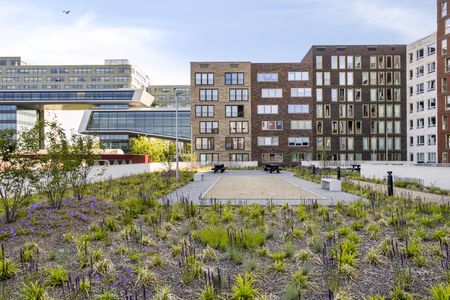 Te huur: Betaplein 157 - Foto 2