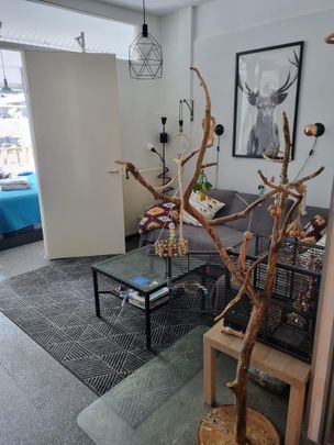 Te huur: Appartement Herenstraat in Wateringen - Photo 1