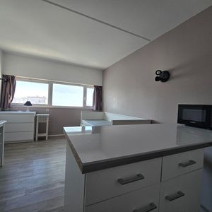 Location Appartement 1 pièce 17m² - Photo 2