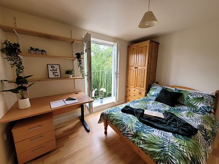 10 En-suite Rooms Available, 11 Bedroom House, Willowbank Mews – Student Accommodation Coventry - Photo 4
