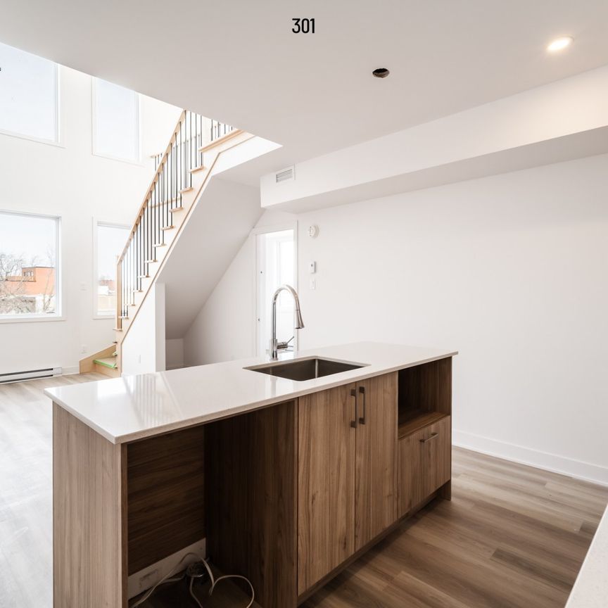 Condo for rent, Montréal (Rosemont/La Petite-Patrie) - Photo 1