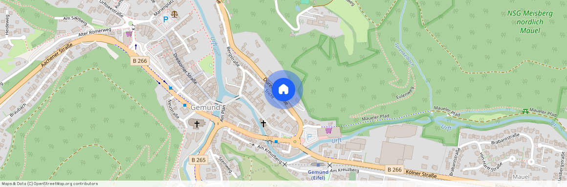 Dürener str.1, 53937 Nordrhein-Westfalen - Schleiden