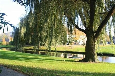 Te huur: Appartement Wilgenplaslaan in Rotterdam - Foto 5