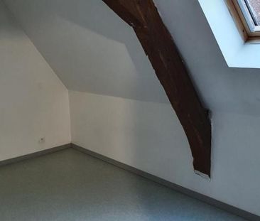 LOUE appartement F2 proche cathédrale - Photo 3