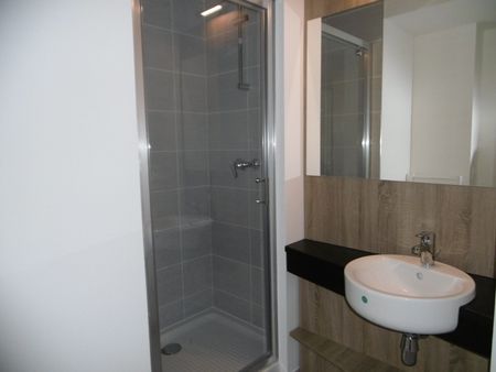 Location Appartement 1 pièce 20m² LYON 7ème - Photo 3